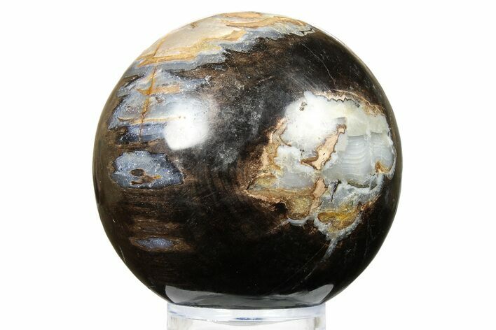 Petrified Wood (Tropical Hardwood) Sphere - Indonesia #266119